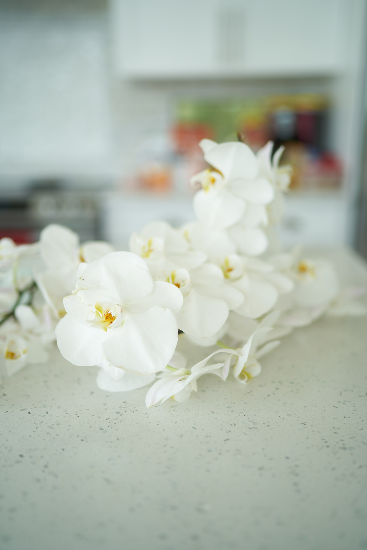 White-Orchids-at-Spring-wedding